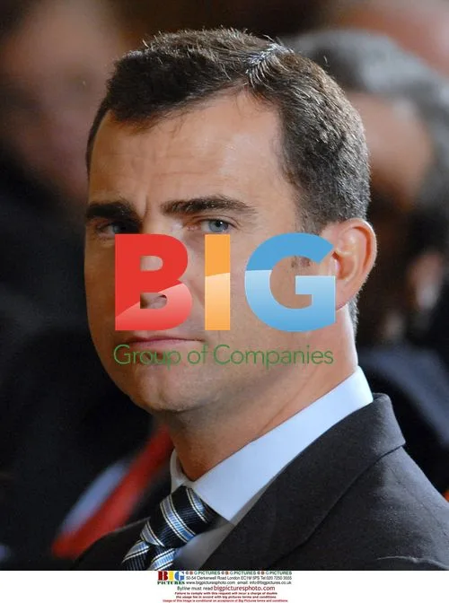 Spanish Crown Prince Felipe at White House