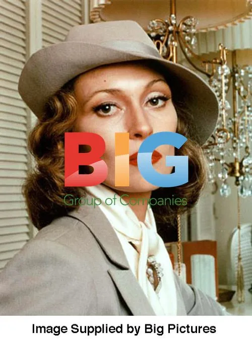 Faye Dunaway Stock Picture