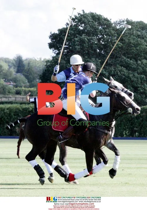Prince Harry Playing Polo