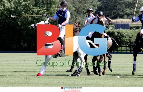 Prince Harry playing polo