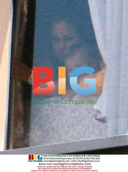 Britney Spears' sons visit newborn