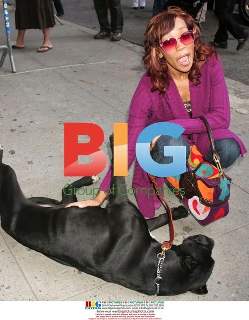 Singer MONICA and dog NAS arrive for TV appearance