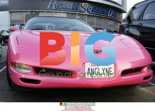 Angelyne Shopping in West Hollywood