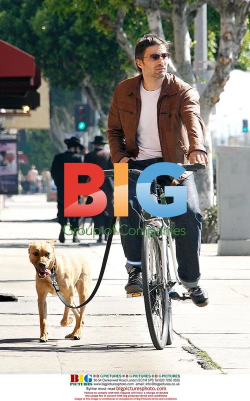 Olivier Martinez Walks Dog in LA