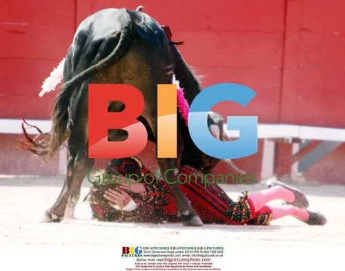 French Torera Marie Barcelo at Bullfight