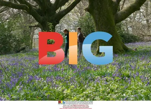 Sisters Enjoy Bluebell Walk in Hampshire