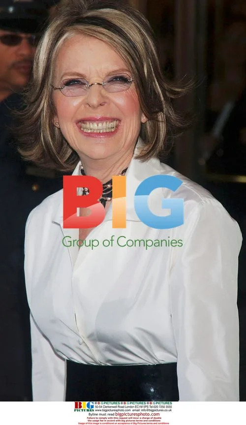 Diane Keaton at Annual Gala Tribute