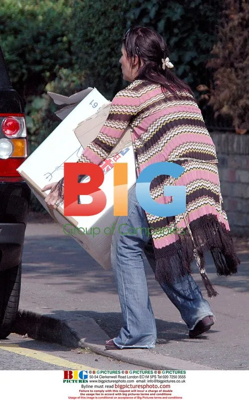 Jessie Wallace Struggles With Old Home