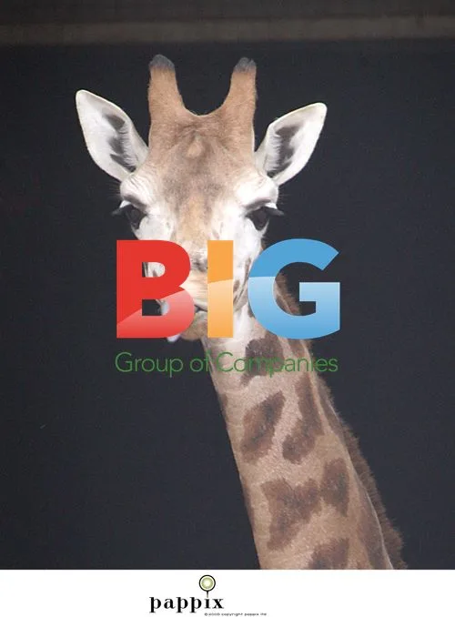 Giraffes Enjoyed Being \"Papped\" at London Zoo
