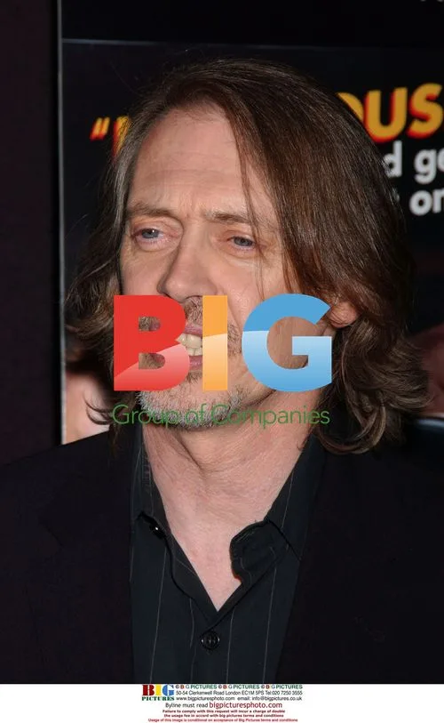 Steve Buscemi at 'Delirious' Premiere
