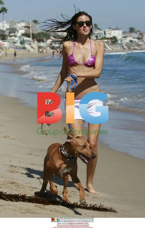 Caroline D'Amore at Paris Hilton's Malibu Beach House