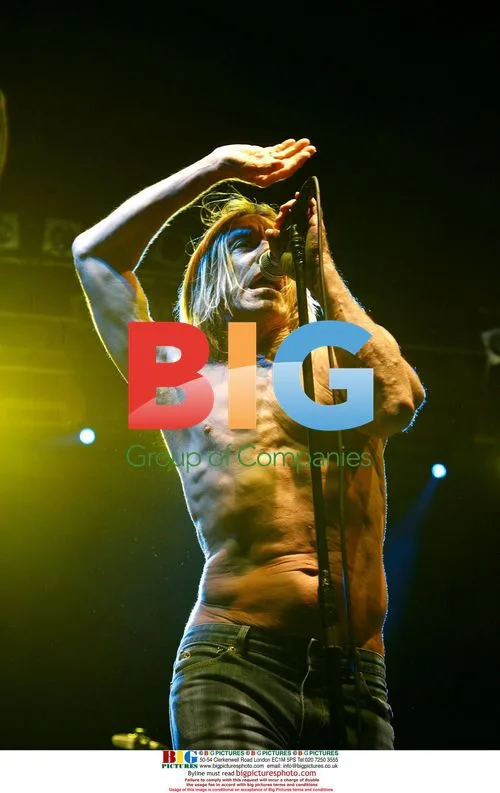 Iggy Pop Performs at V Festival