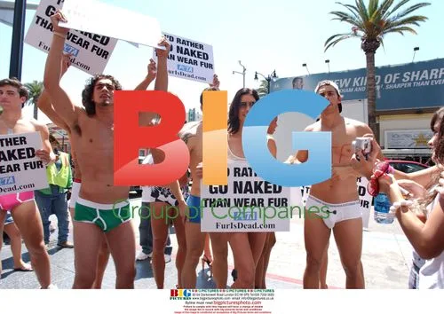 Janice Dickinson and Models Protest Fur