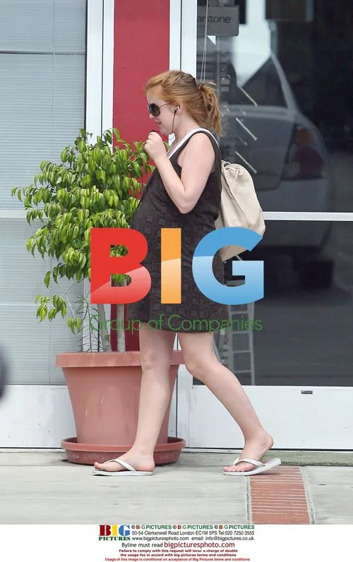 Pregnant Isla Fisher Visits Wallpaper Store