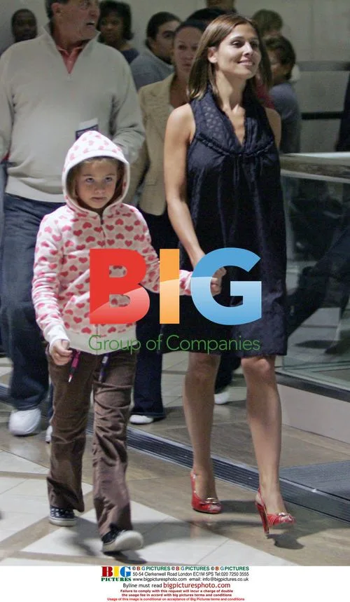 Julian McMahon and Family Depart LAX