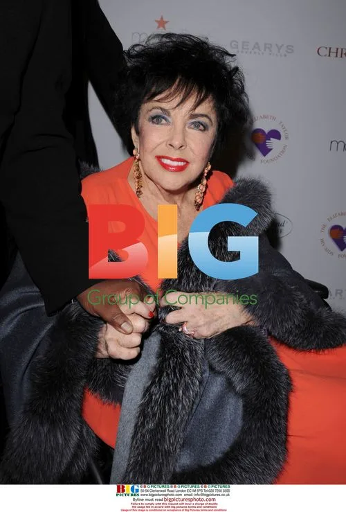 Elizabeth Taylor at 'Love Letters' Benefit