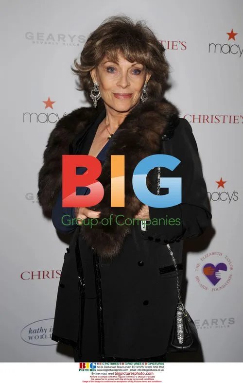 Veronique Passani at 'Love Letters' Benefit