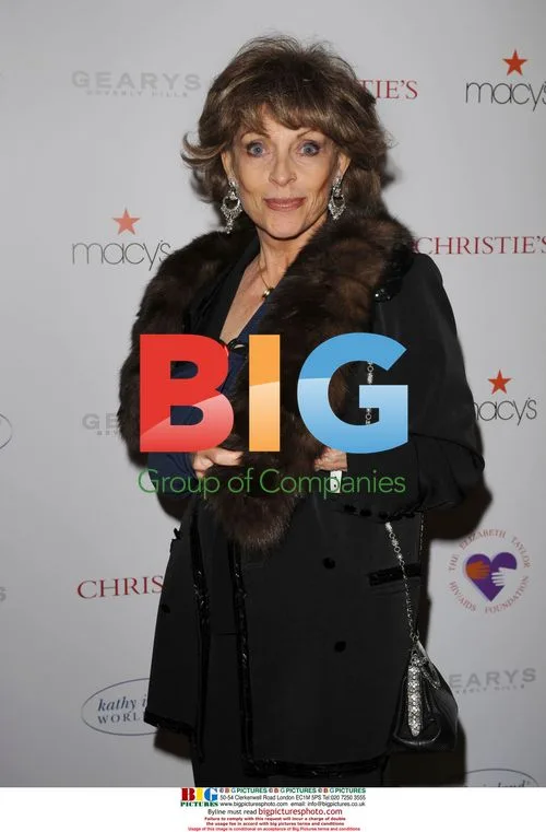 Veronique Passani Attends 'Love Letters' Benefit