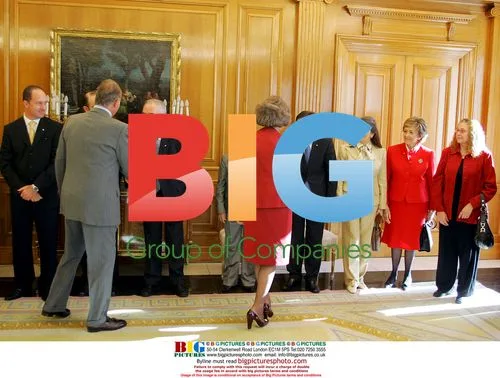 Spanish Royals Meet Red Cross Committee