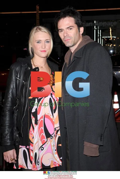 Los Angeles premiere of "P.S. I Love You"