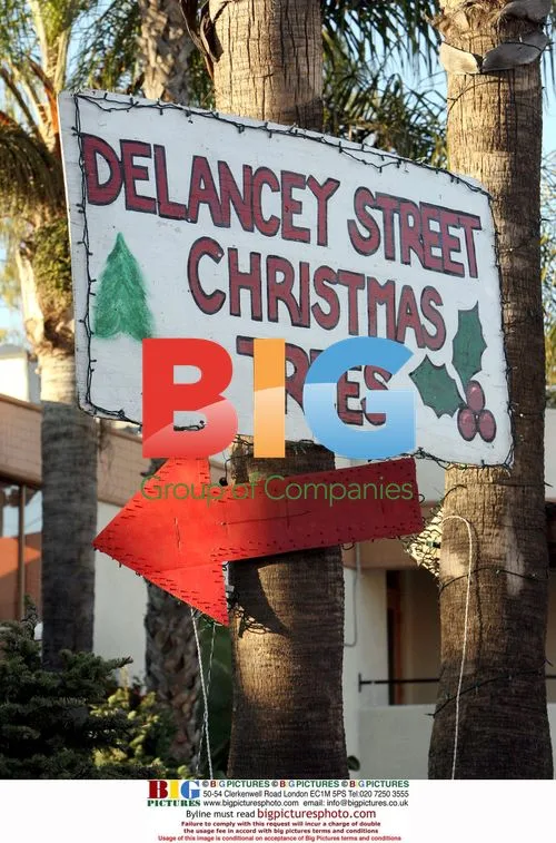 Tori Spelling and family get Christmas tree