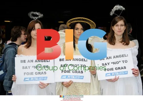Monica Harris Joins PETA Protest at Selfridges
