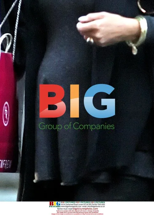 Halle Berry Shows Baby Bump While Shopping