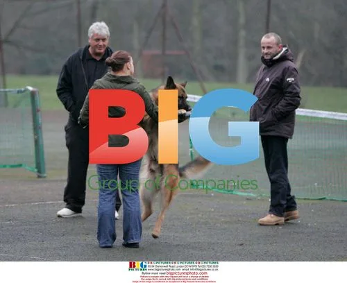 Kerry Katona Trains Dog With Husband