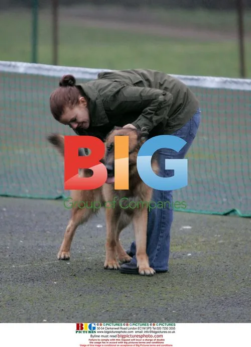 Pregnant Kerry Katona and Husband Training Dog
