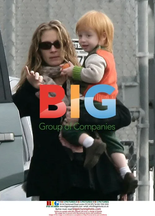 Pregnant Julia Roberts boards private jet with family