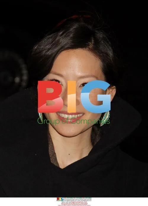 Lucy Liu at '3 Needles' Premiere