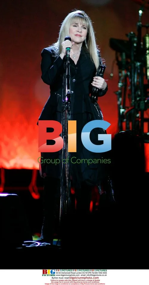 Stevie Nicks Performs Live in Florida
