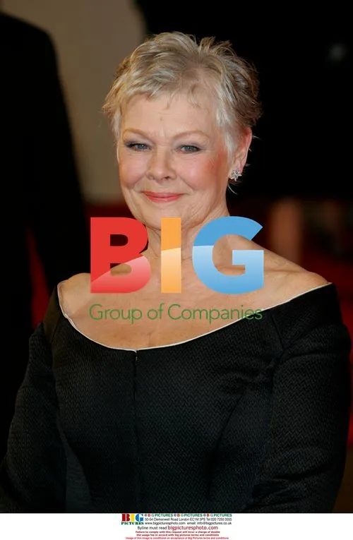 Judi Dench at BAFTA Awards