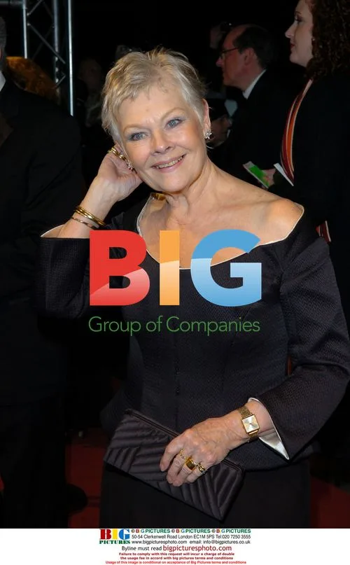 Judi Dench at BAFTA Afterparty
