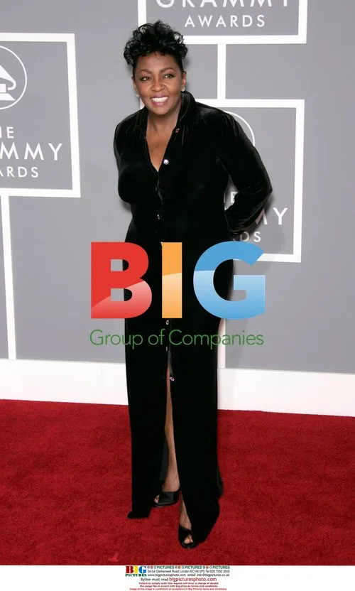 Anita Baker at 49th Annual Grammys