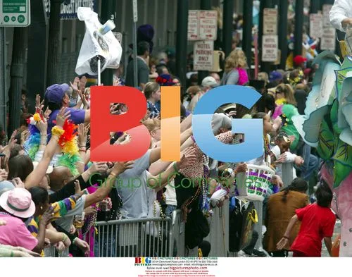 Mardi Gras Celebration in New Orleans