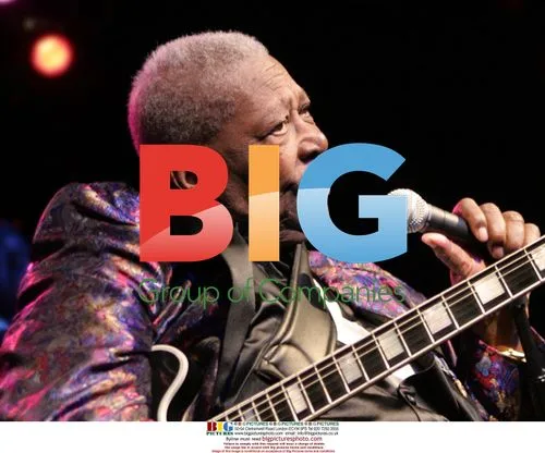B.B. King Performs in Concert