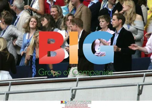 Princes William and Harry at Concert for Diana