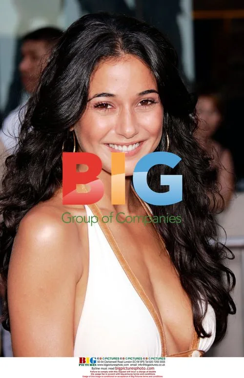 Emmanuelle Chriqui at 'Chuck & Larry' Premiere