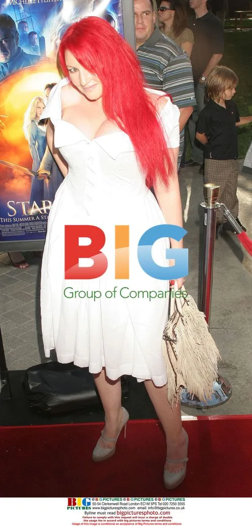 Writer JANE GOLDMAN at 'Stardust' LA Premiere
