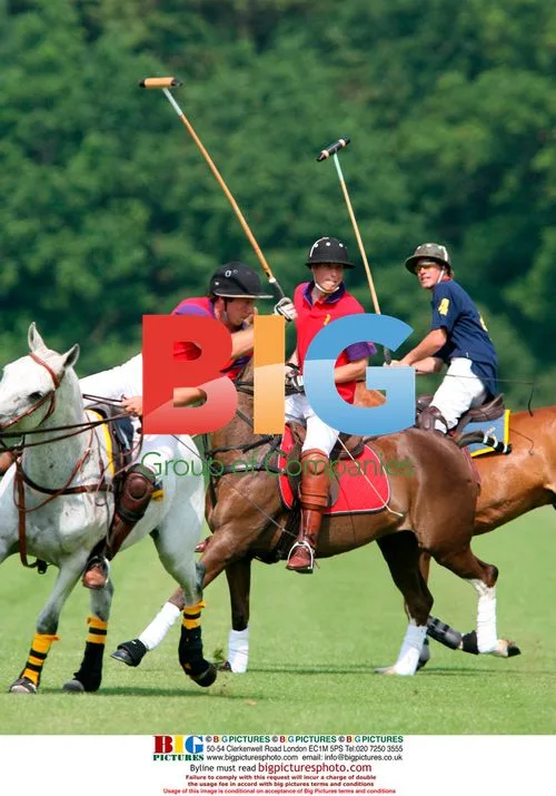 Prince William plays polo
