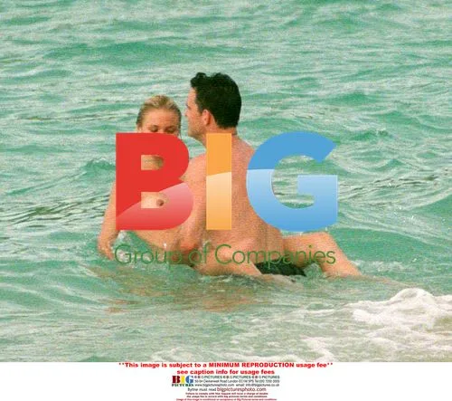 Cameron Diaz & Matt Dillon's Romantic Holiday