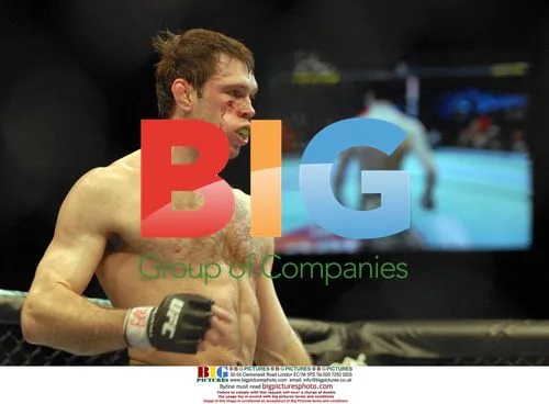 UFC 72 Victory in Belfast, Northern Ireland