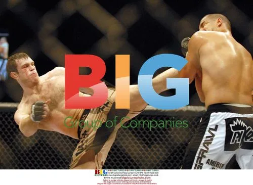 UFC 72 Victory in Belfast