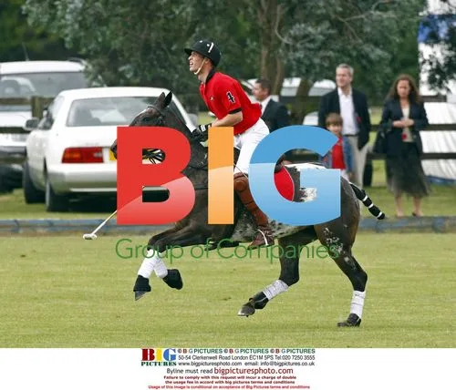 Prince William Plays Polo in London