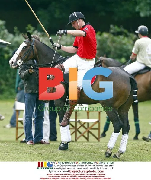Prince William at Polo Game