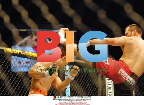 UFC 72 Victory in Belfast