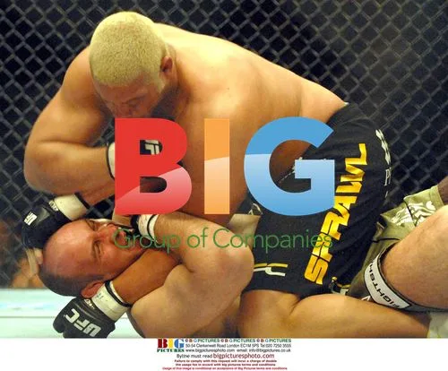 UFC 72 Victory in Belfast