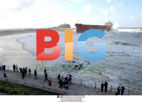 Bulk coal ship blown onto Australian beach