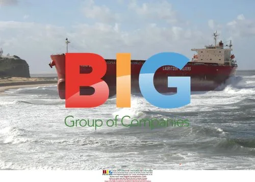 Bulk ship Pasha Bulka blown onto beach by storm